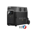 پاور استیشن Delta Pro برند EcoFlow